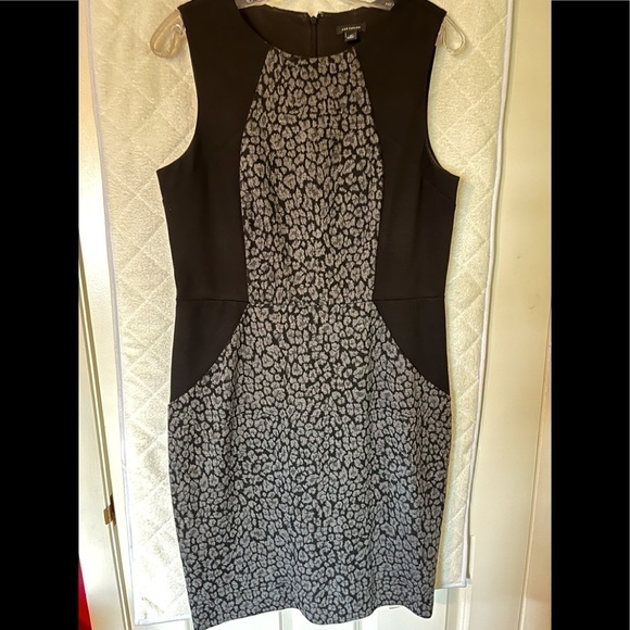 Ann Taylor Dresses & Skirts - Ann Taylor Professional Dress. Size 10